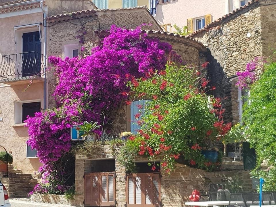 Maison De Medievale Village * Bormes-les-Mimosas