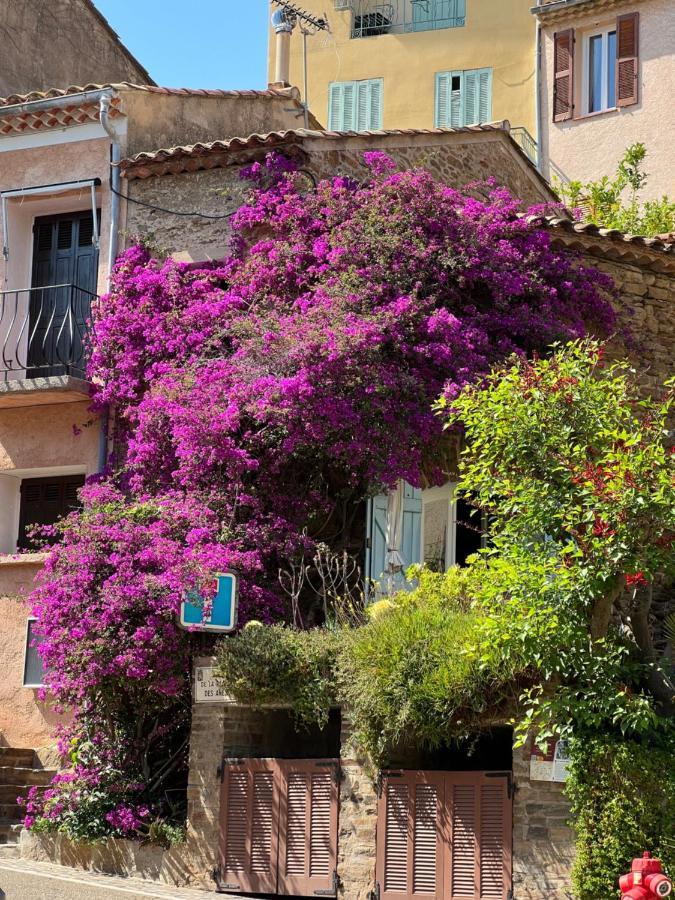 Maison De Medievale Village