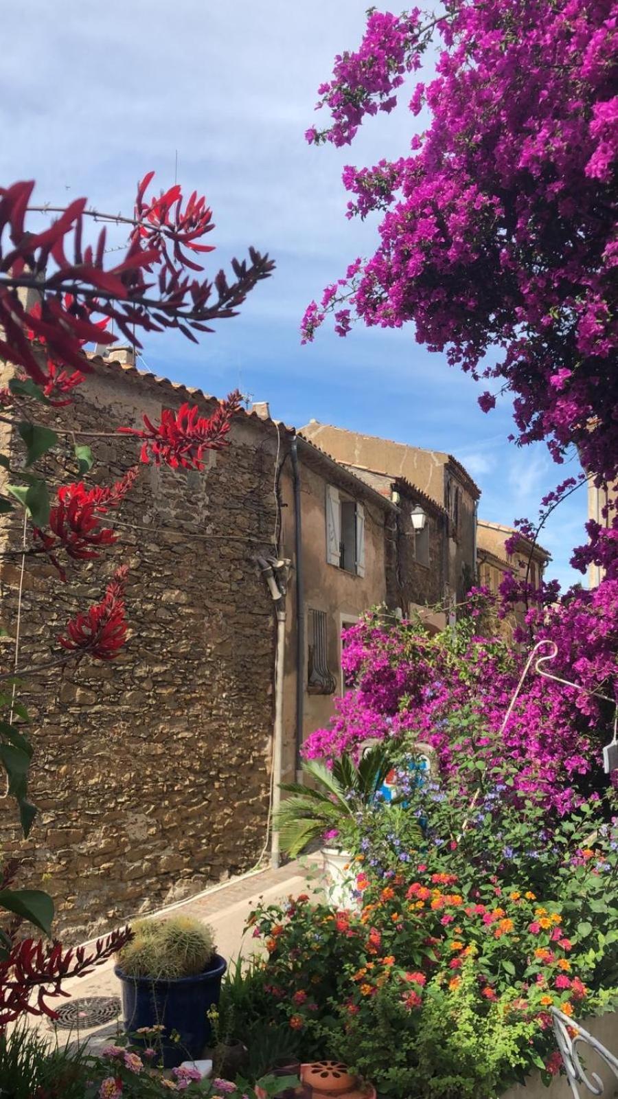 Maison De Medievale Village Apartamento Bormes-les-Mimosas